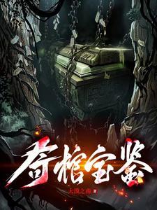 奇棺宝鉴全文阅读