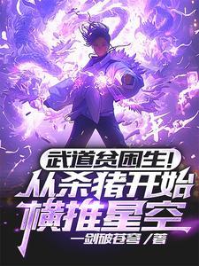 武道贫困生!从杀猪开始横推星空无错版