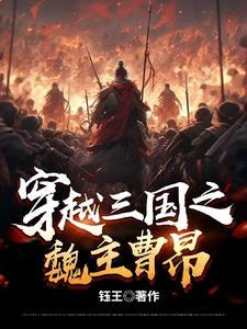 穿越三国之曹魏军师
