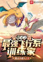 精灵之最强飞行系专