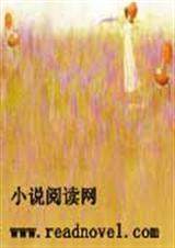 残羽的雪花泪试听