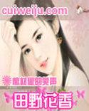 田野花香(乡村猎艳)陈炎