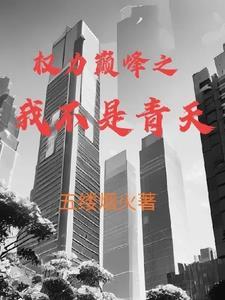 权力巅峰之我不是青天马云辉